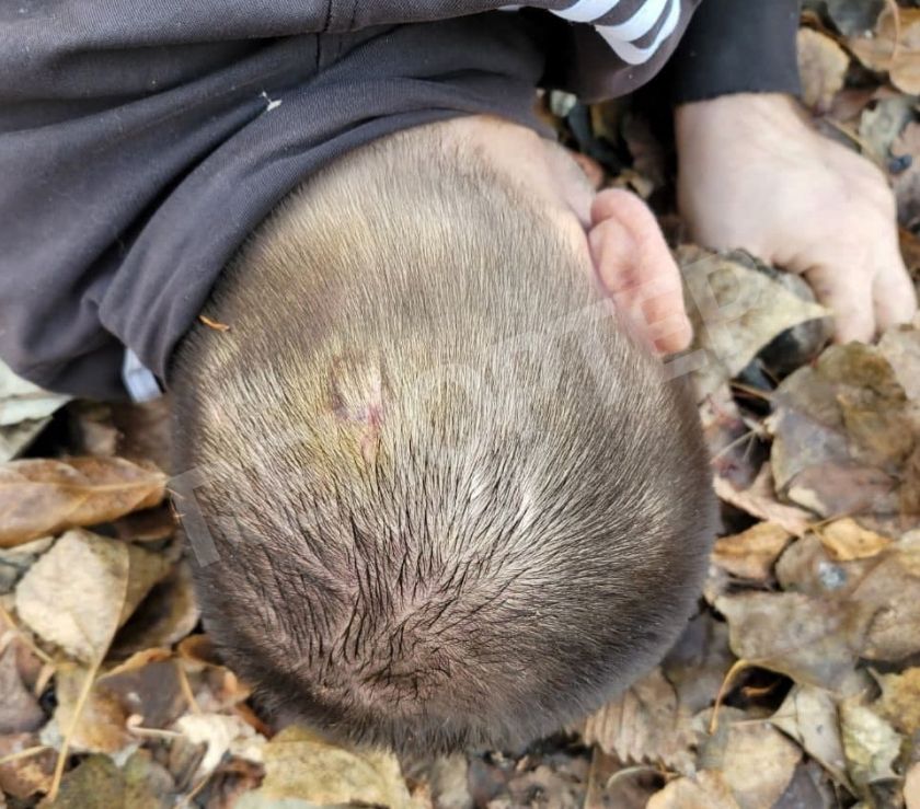 Труп нашли местные жители. Новости Днепра