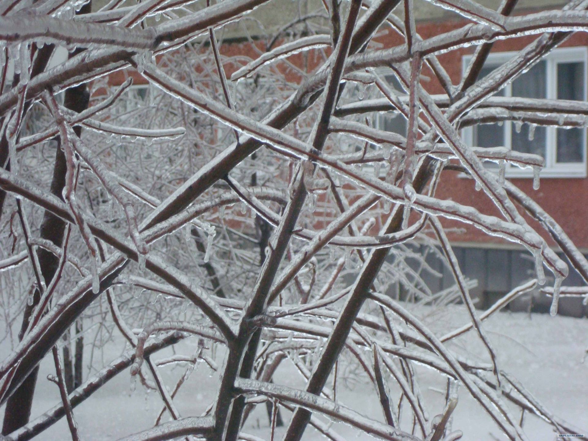 Хрустальный город. Новости Днепра