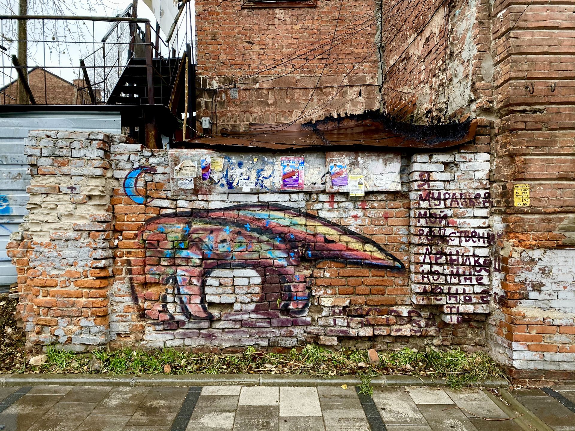 Нашествие муравьедов. Новости Днепра.