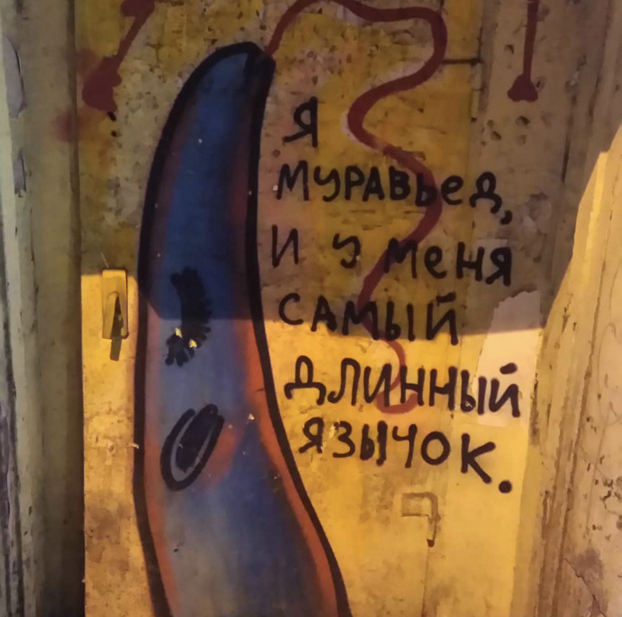 Нашествие муравьедов. Новости Днепра.