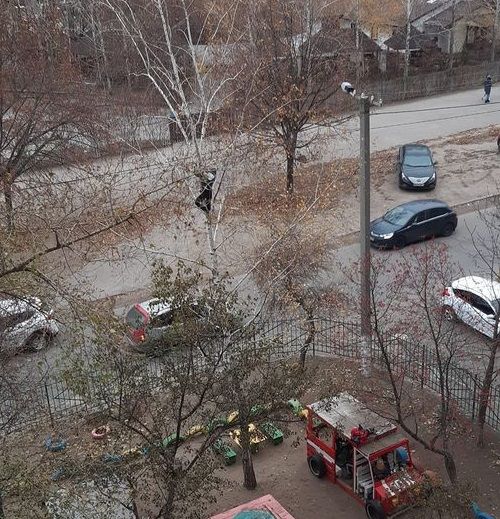 Юноша залез на высокое дерево. Новости Днепра