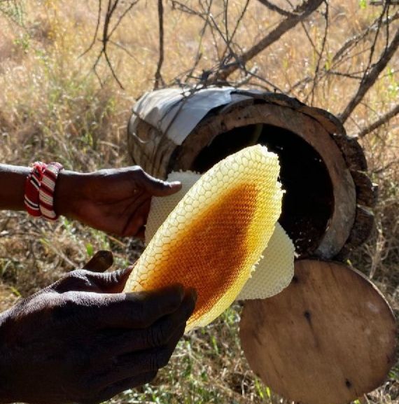 Марина. Новости Днепра