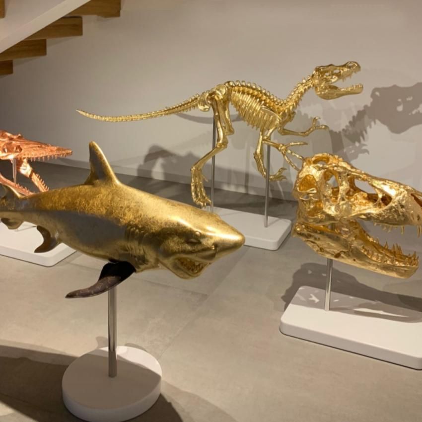 Обзор на DIZZY Gallery. Новости Днепра