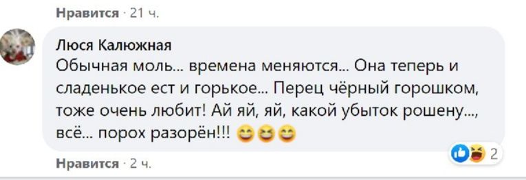 Личинки — в подарок. Новости Днепра