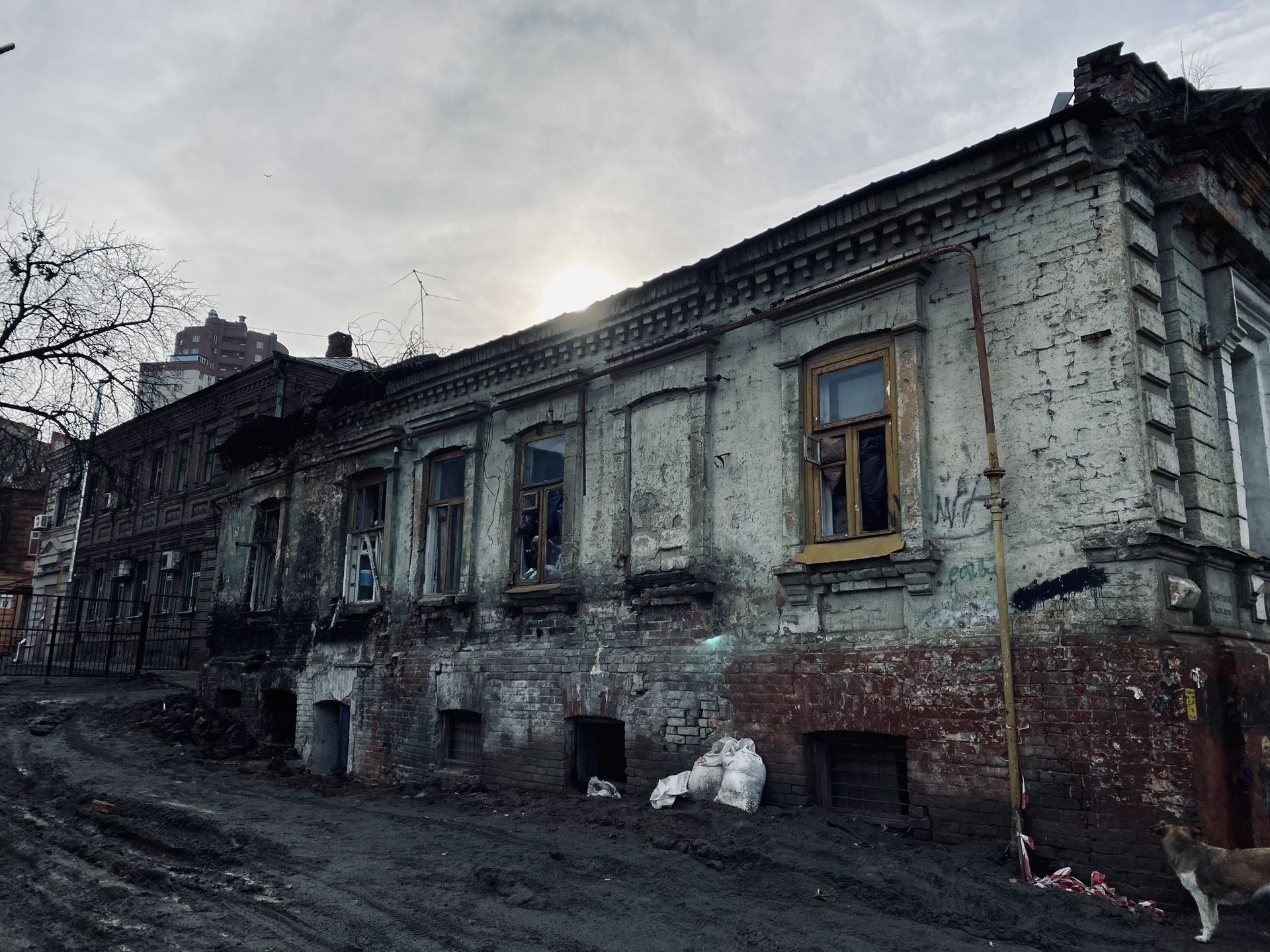 Печальное зрелище. Новости Днепра