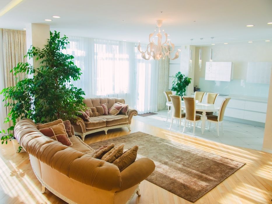 Цена шокирует. Новости Днепра