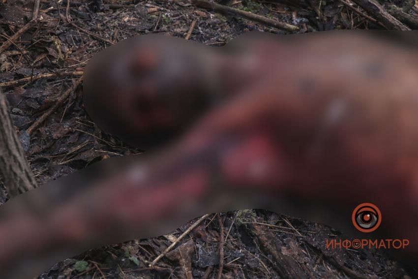 Половину. Новости Днепра