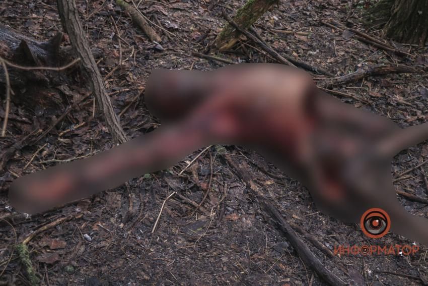 Половину. Новости Днепра