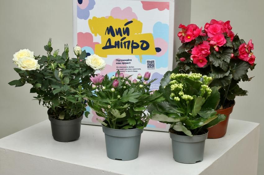 Отодрали все. Новости Днепра