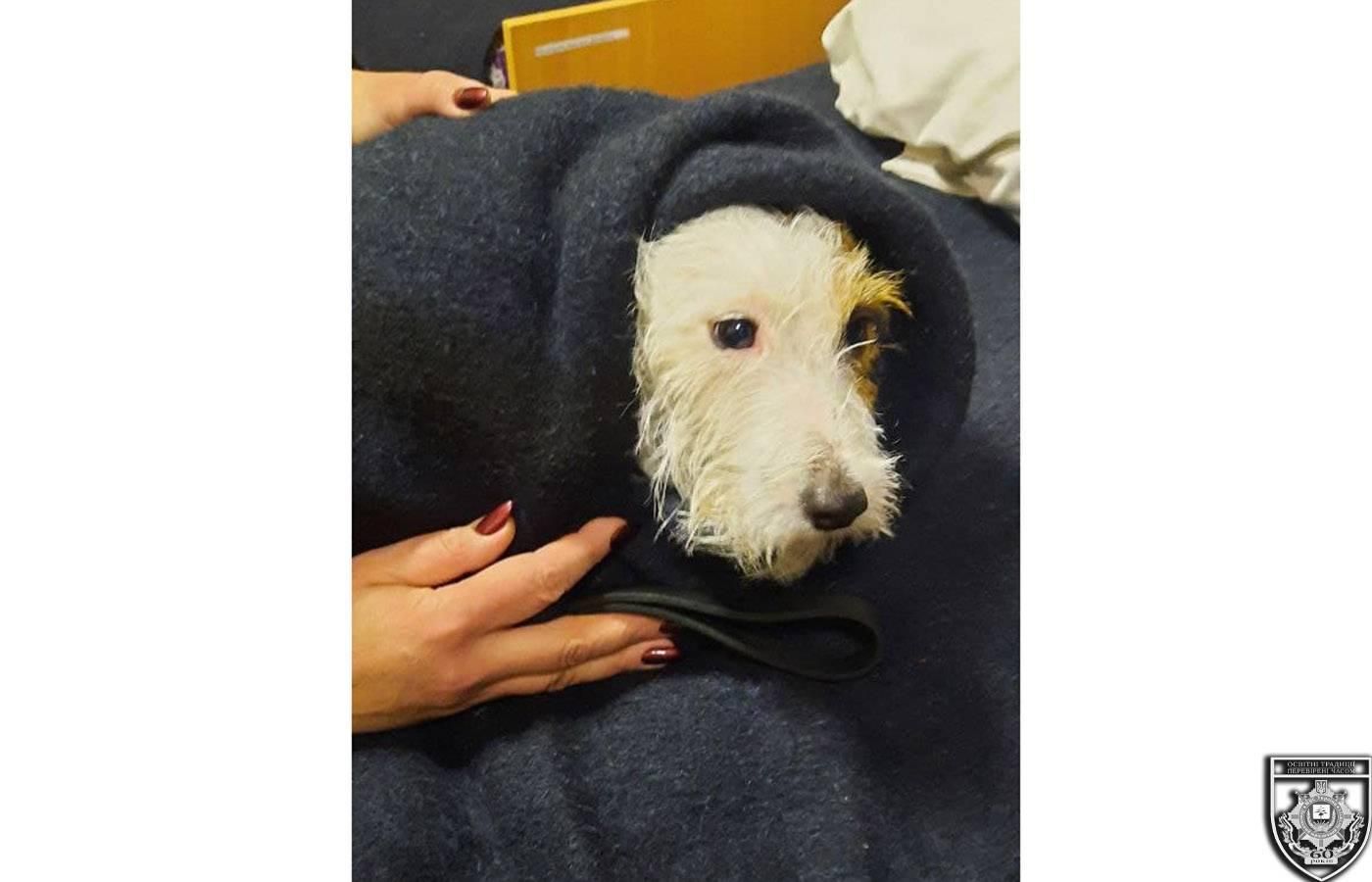 Герой. Новости Днепра