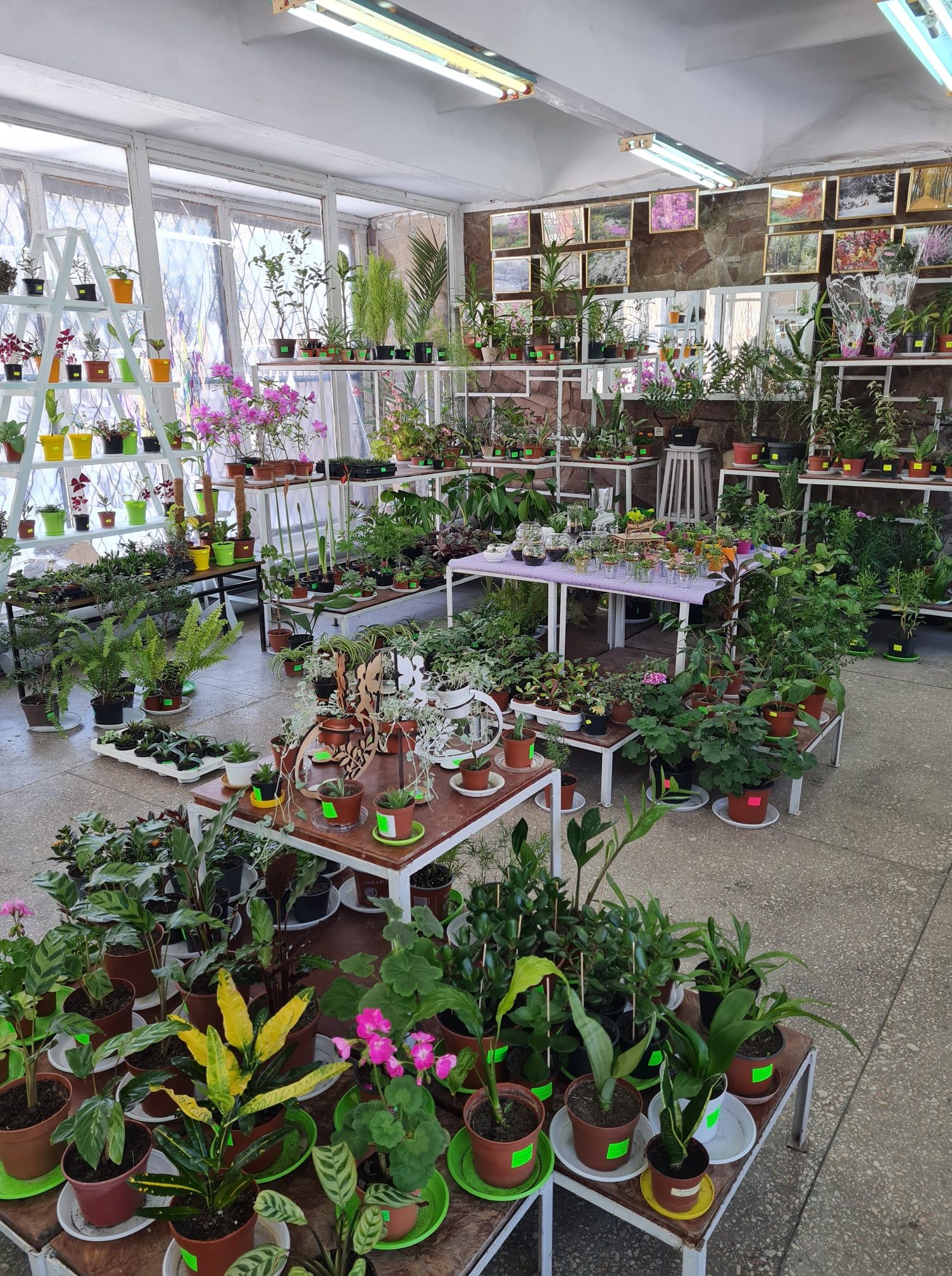 Лучший подарок. Новости Днепра