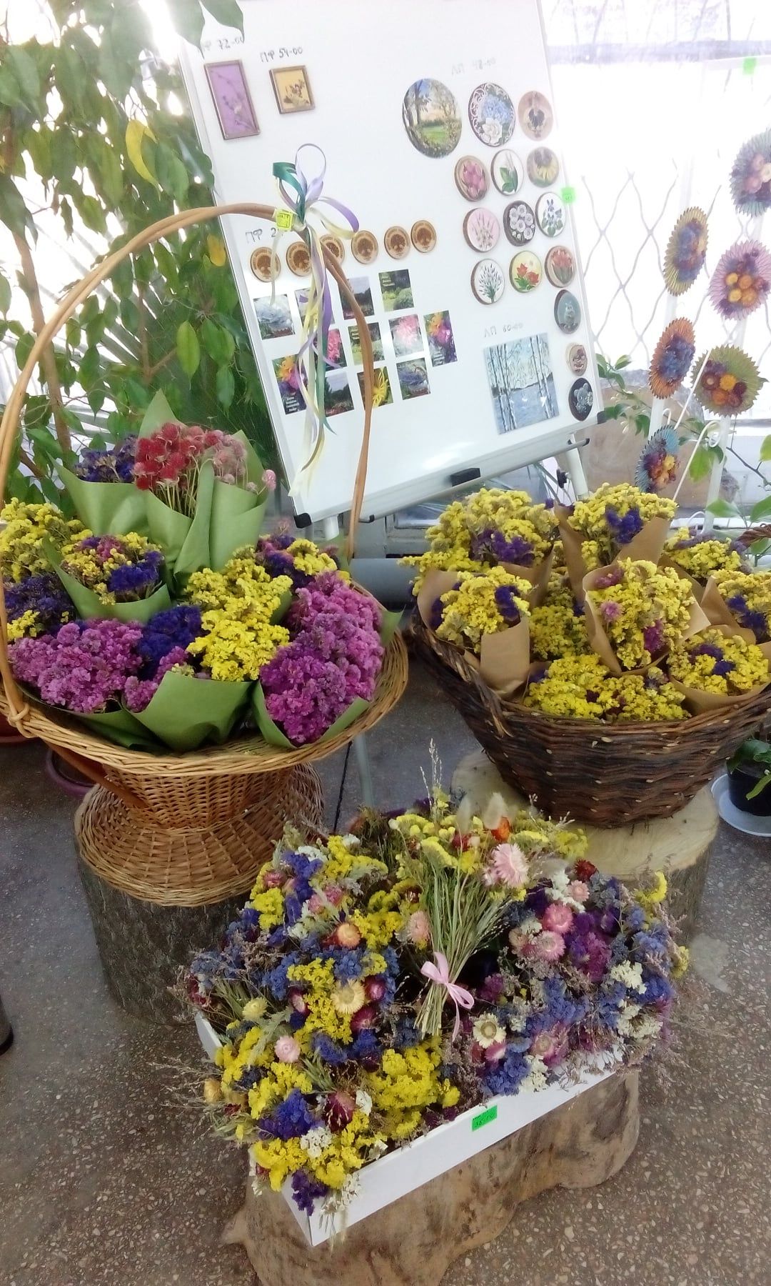 Лучший подарок. Новости Днепра