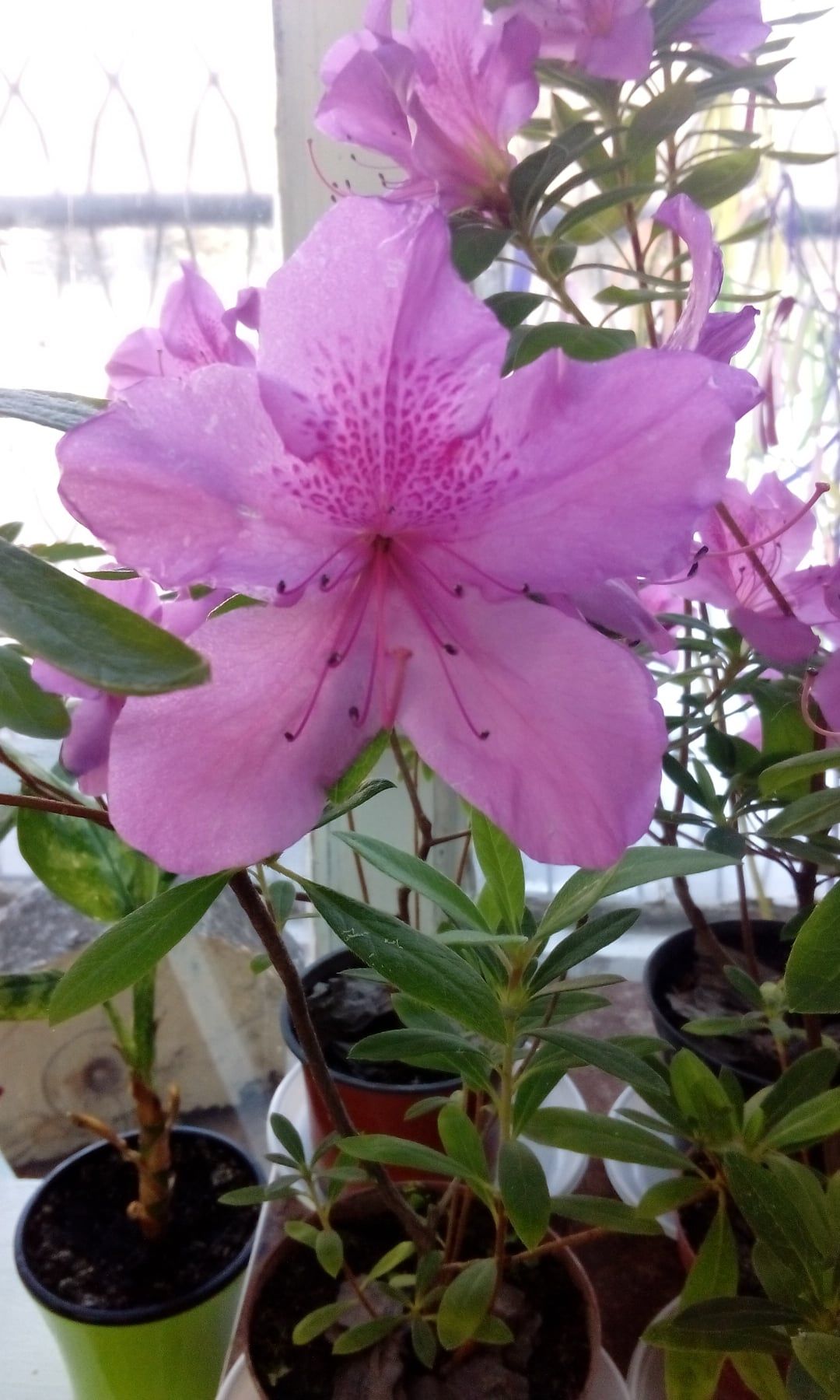 Лучший подарок. Новости Днепра