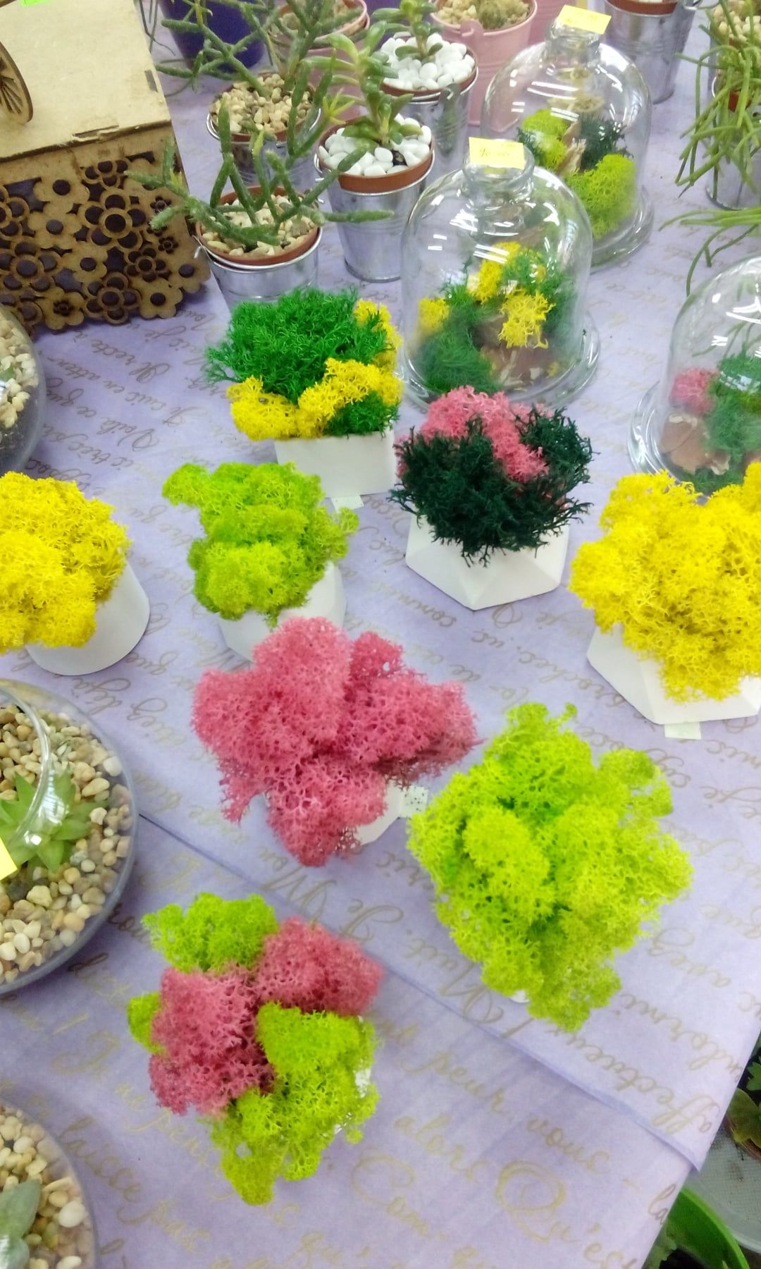 Лучший подарок. Новости Днепра