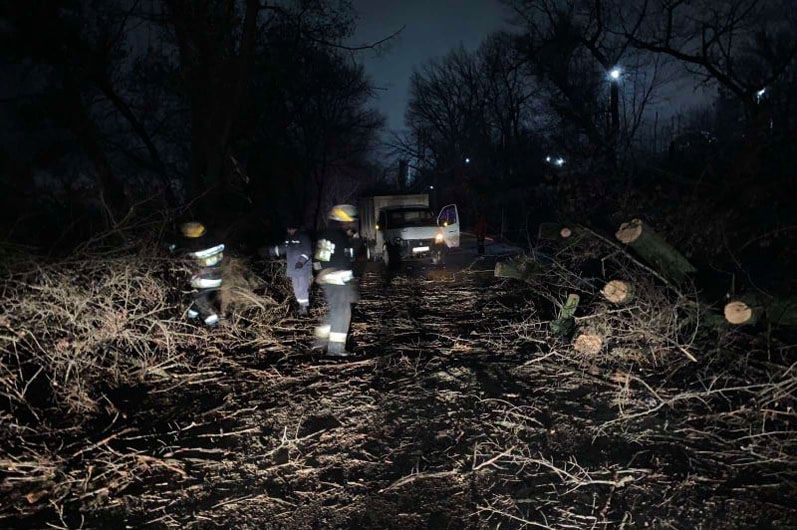 Большое дерево обрушилось на проезжую часть из-за сильного ветра, проехать было невозможным. Новости Днепра