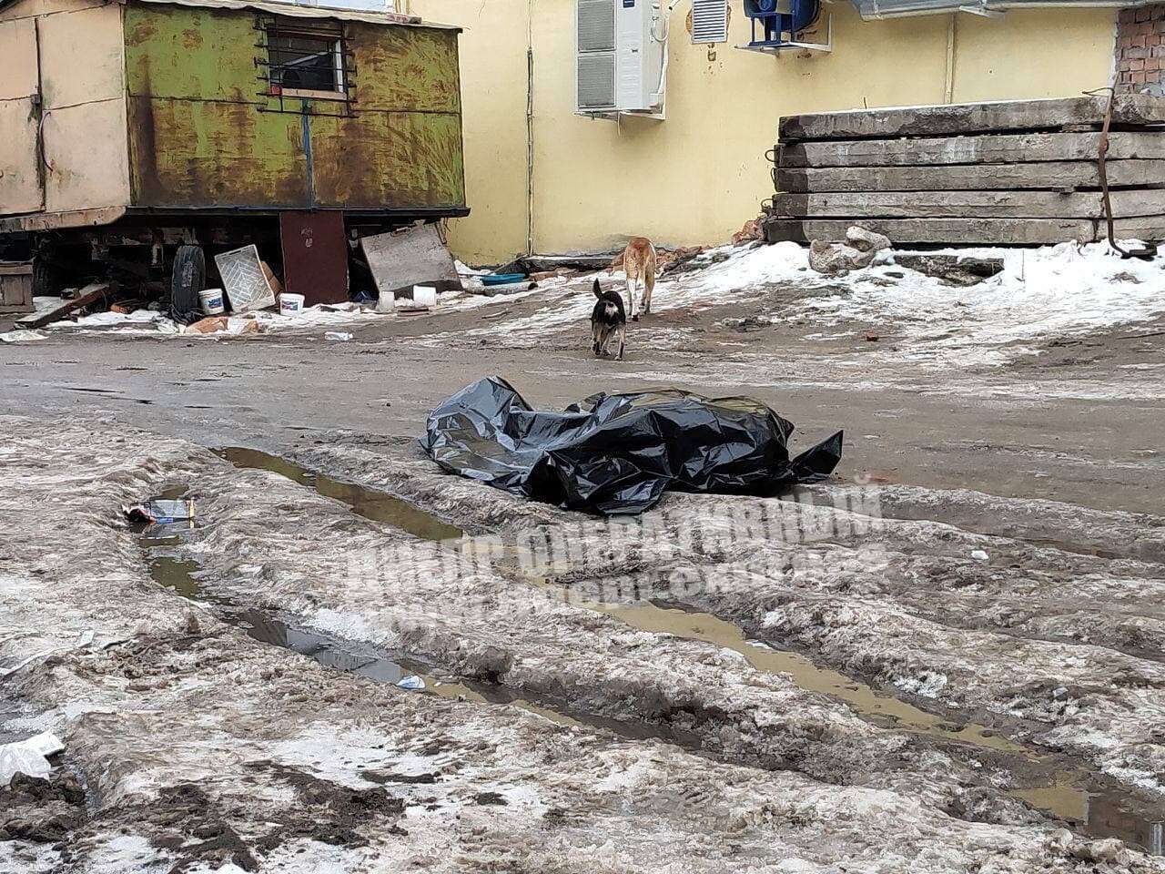 Возле Мост-Сити. Новости Днепра