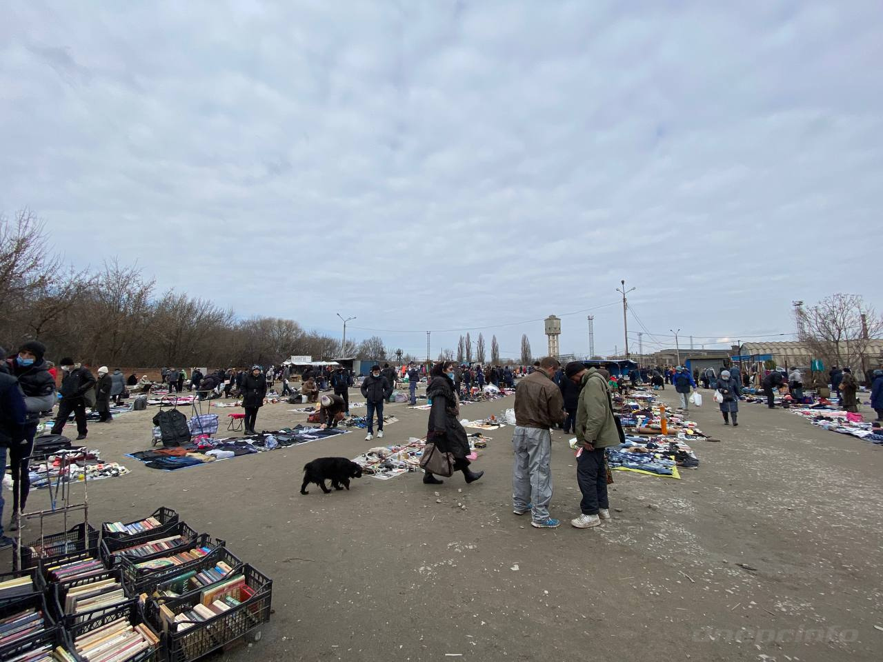 Барахло или сокровища: что продают на блошином рынке Днепра. Новости Днепра