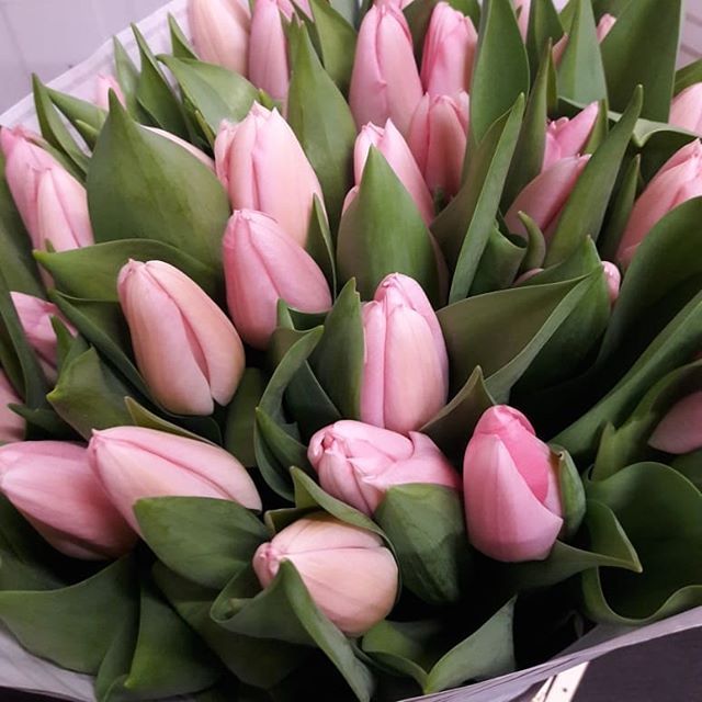 Днепр утонул. Новости Днепра