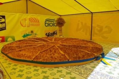 Ого, такой большой! — топ самых-самых в Днепропетровской области. Новости Днепра