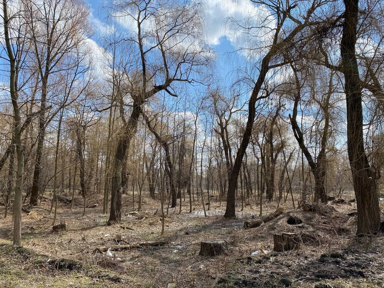 Забытый, но чистый: как выглядит парк Кирова в Днепре сейчас. Новости Днепра