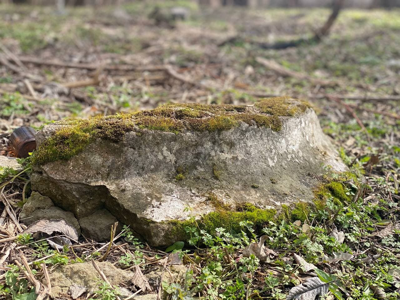 Забытый, но чистый: как выглядит парк Кирова в Днепре сейчас. Новости Днепра