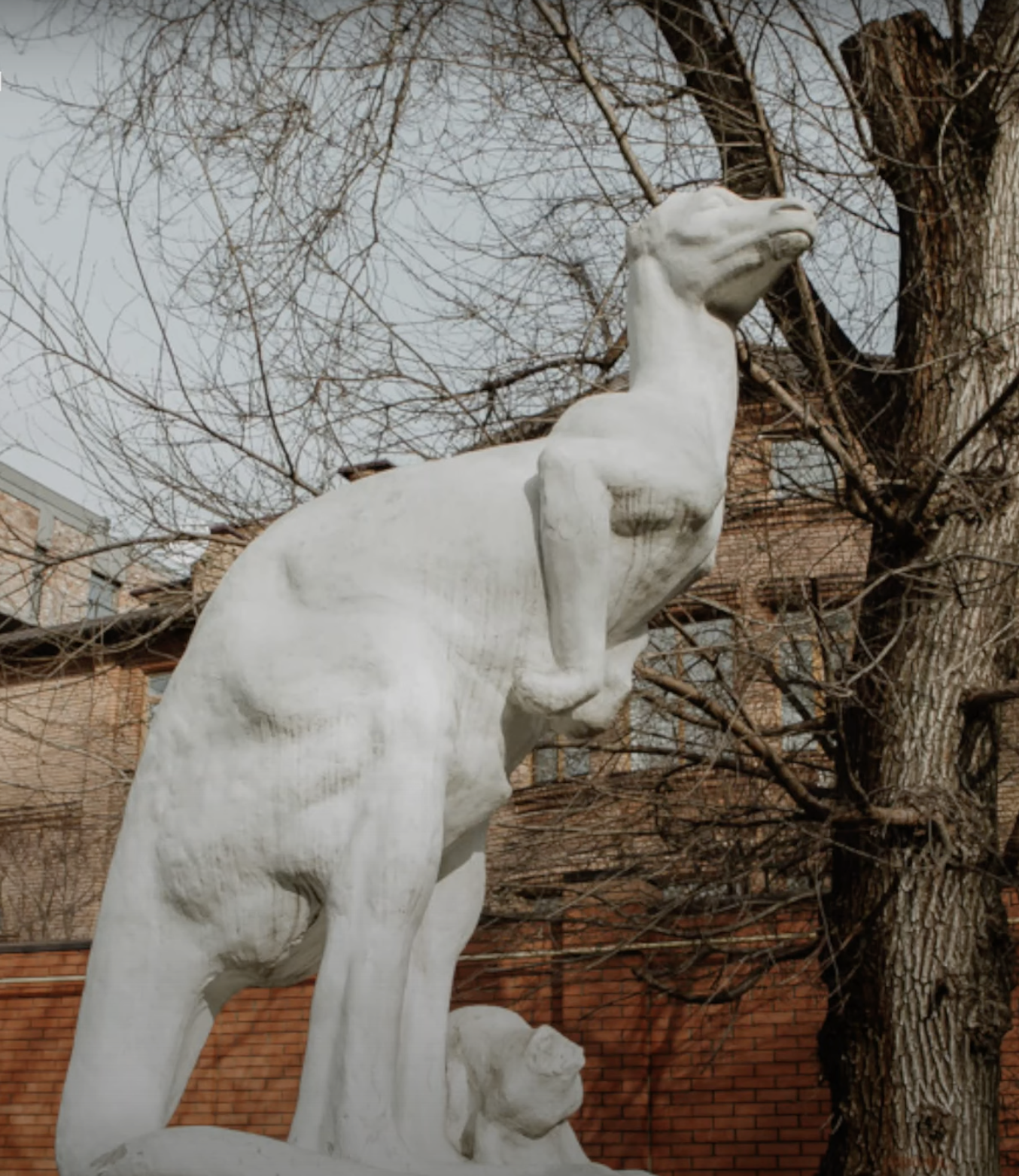 Кенгуру и счеты: что необычного дарят музею истории Днепра. Новости Днепра