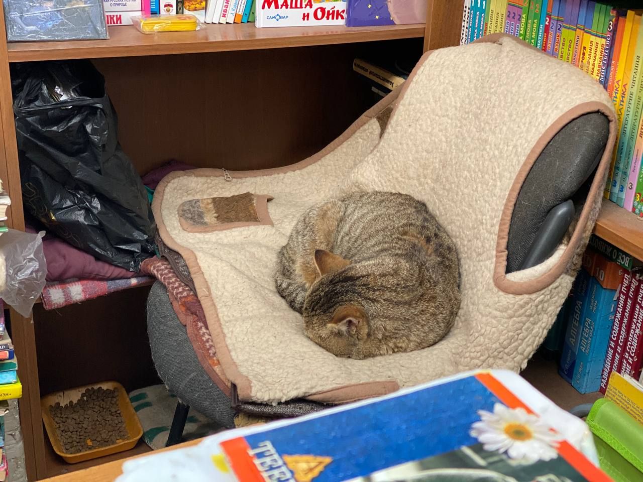 “Книжный рынок в Днепре доживает свои последние дни?”. Новости Днепра