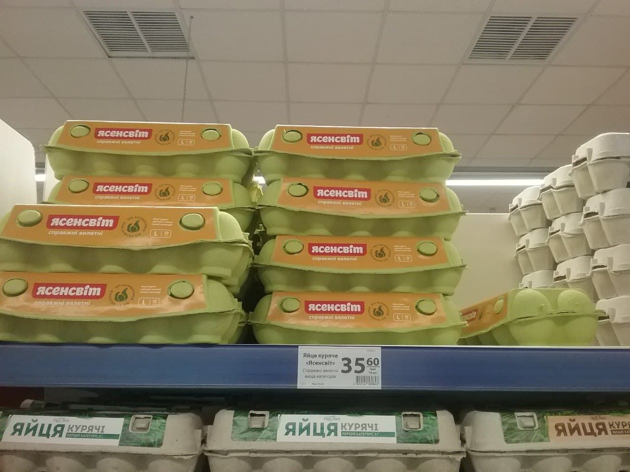 Яичная битва. Новости Днепра