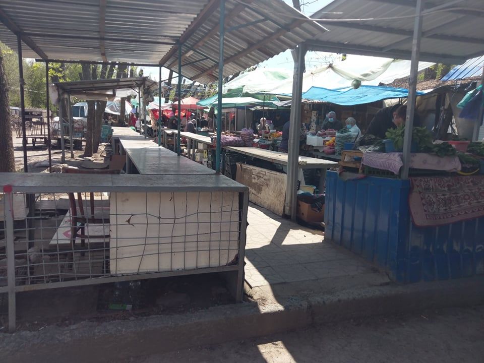 рынок тополь