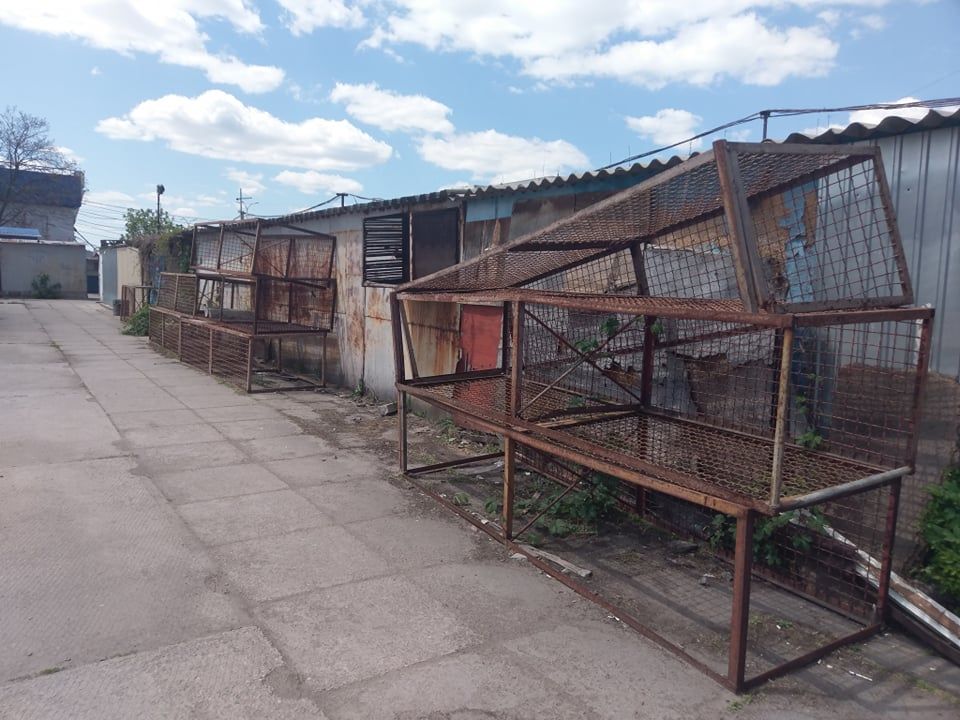 рынок тополь