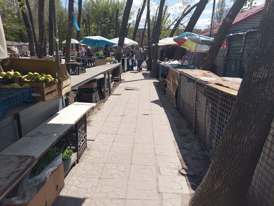 рынок тополь