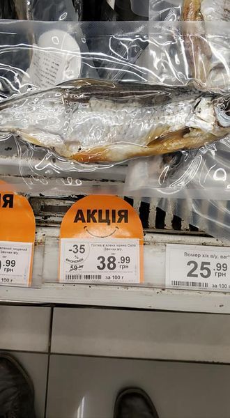 Плотва по цене семги. Новости Днепра