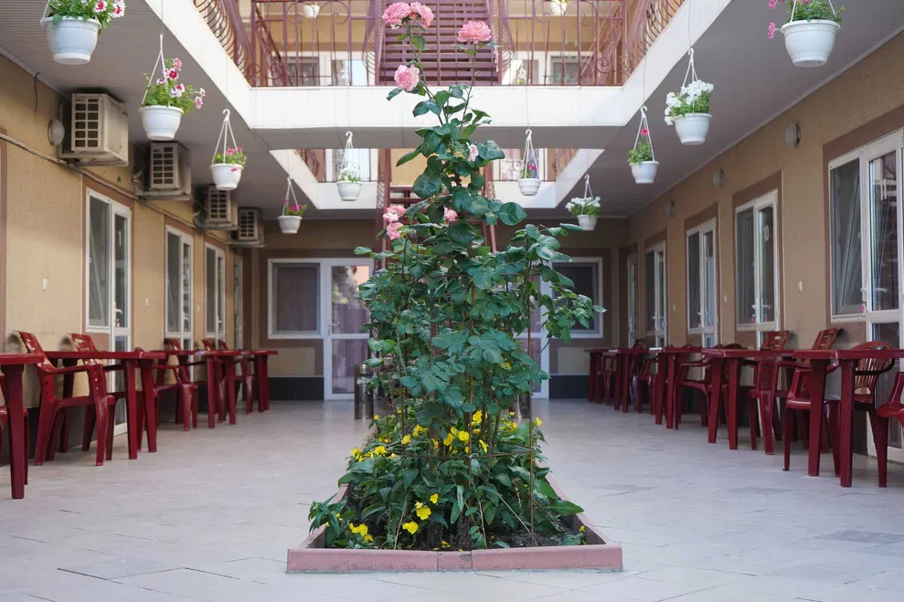 железный порт