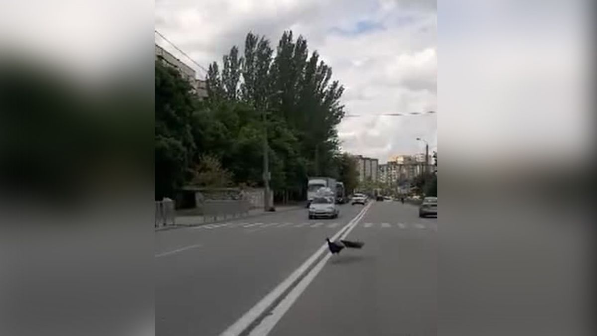 По проезжей части. Новости Днепра