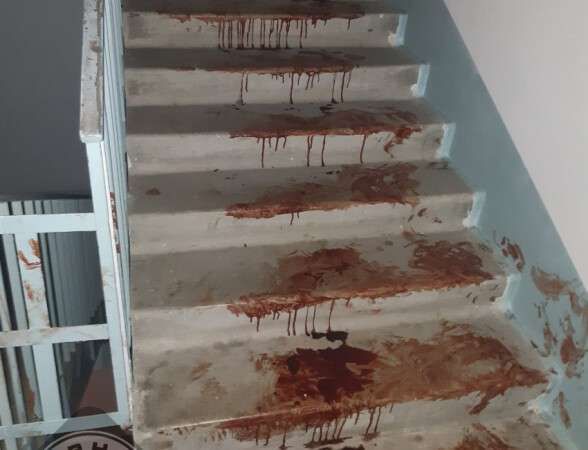 В Днепре. Новости Днепра