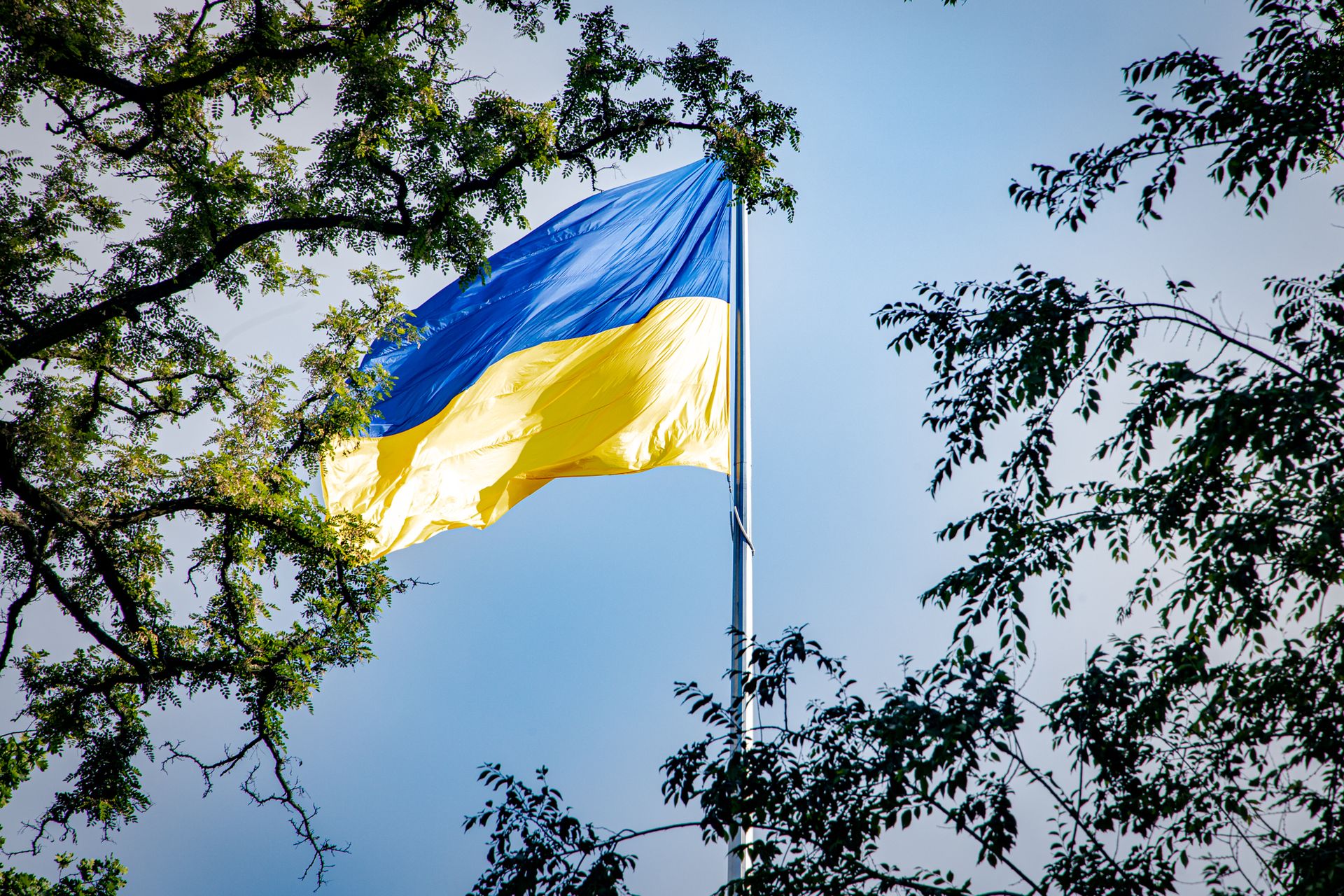 Президент Украины Владимир Зеленский посетил днепровский Музей АТО