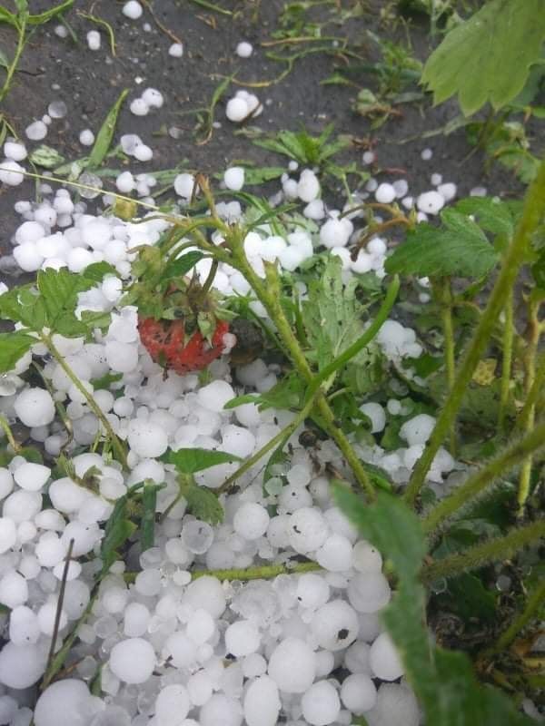 Град. Новости Днепра