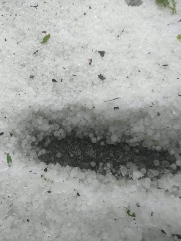 Град. Новости Днепра