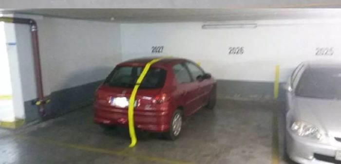 Машина. Новости Днепра