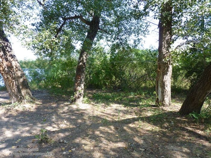 шевский остров