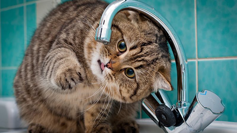 Жителей Днепра временно оставили без воды. Отключили некоторые дома от водоснабжения на целый день. Новости Днепра