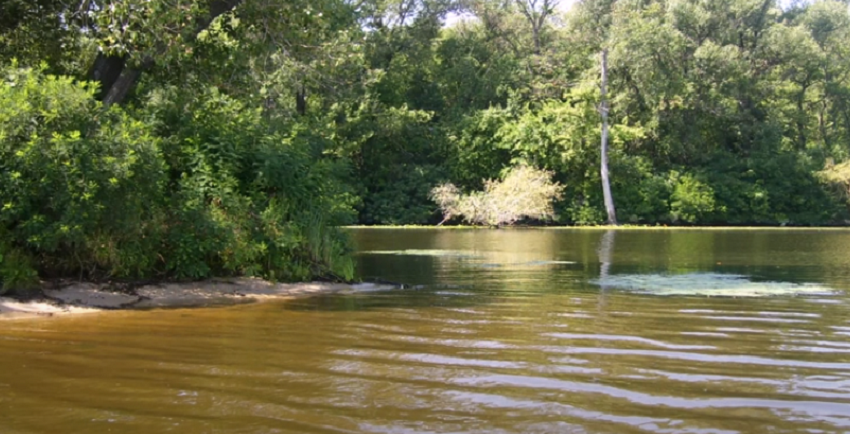 Зеленый остров