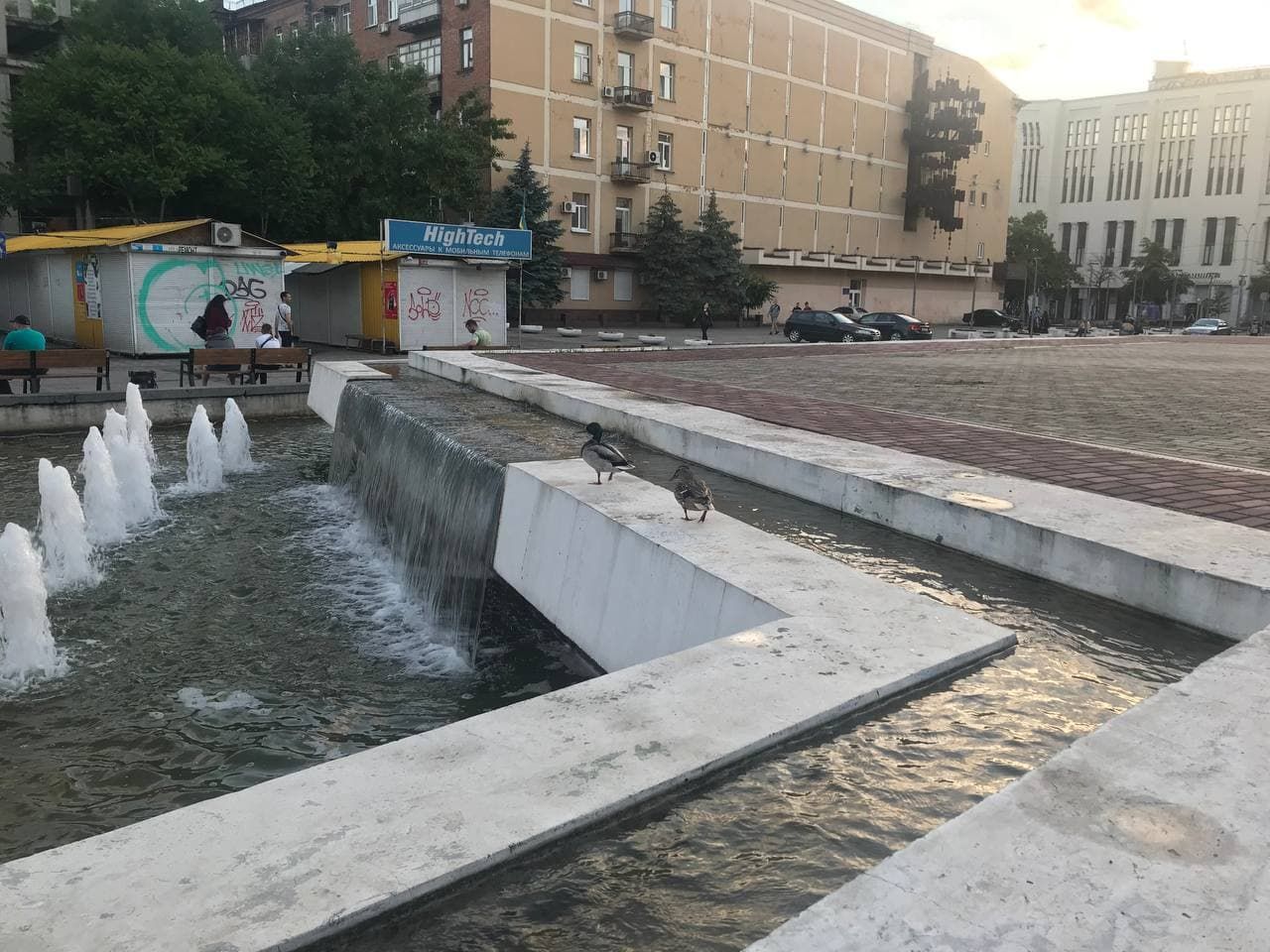 Утиные истории. Новости Днепра