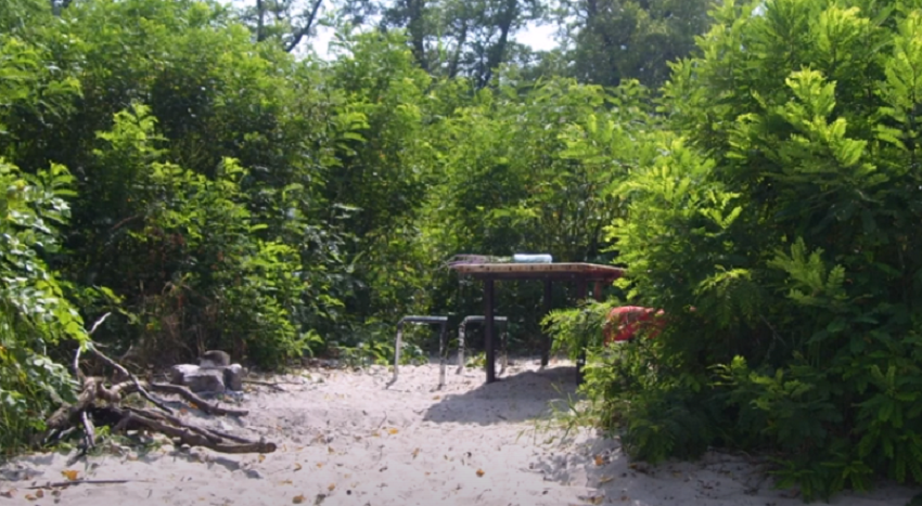 Зеленый остров