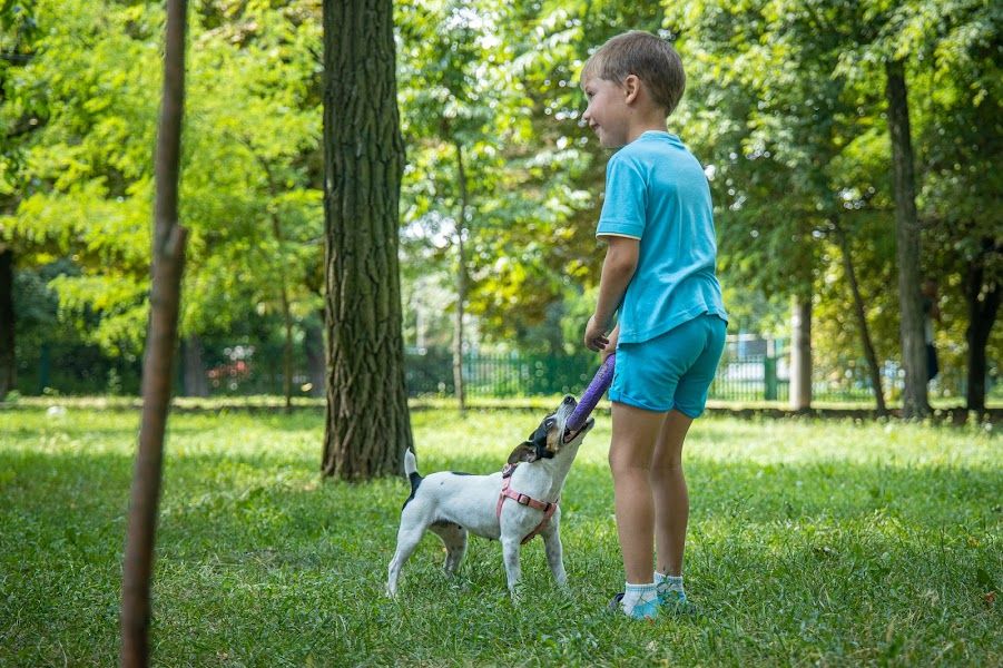 В Илларионовской громаде открыли «активный парк»