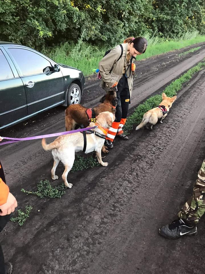 Ищут. Новости Днепра