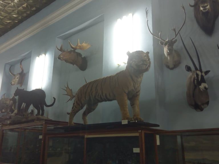 зоологический