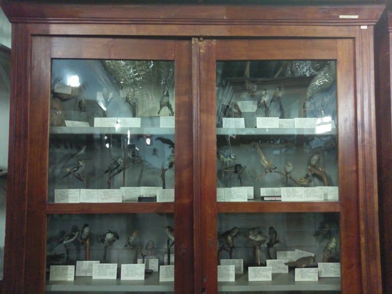 зоологический