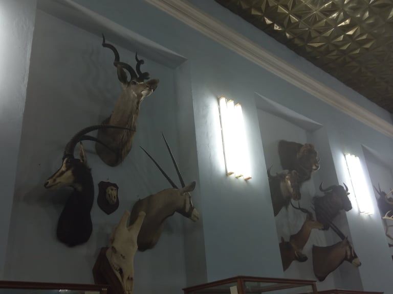 зоологический