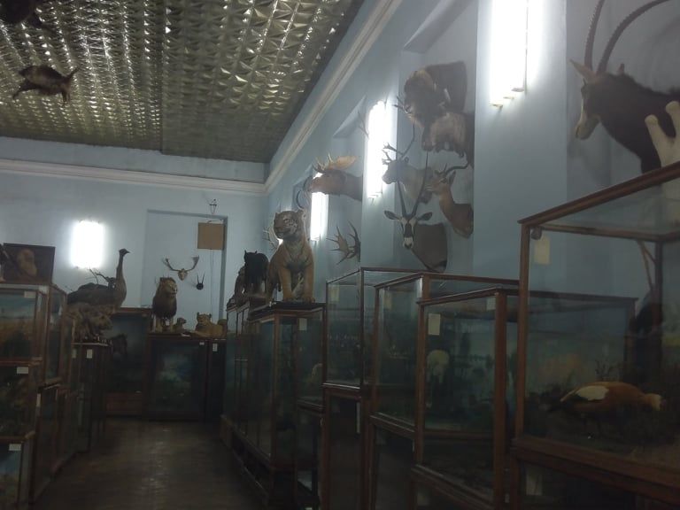 зоологический